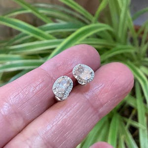 May include: A pair of oval-shaped stud earrings. Each earring features a central, light-colored stone surrounded by a halo of smaller, clear stones. The earrings are set in a silver-colored metal, and are displayed against a blurred background of green foliage.