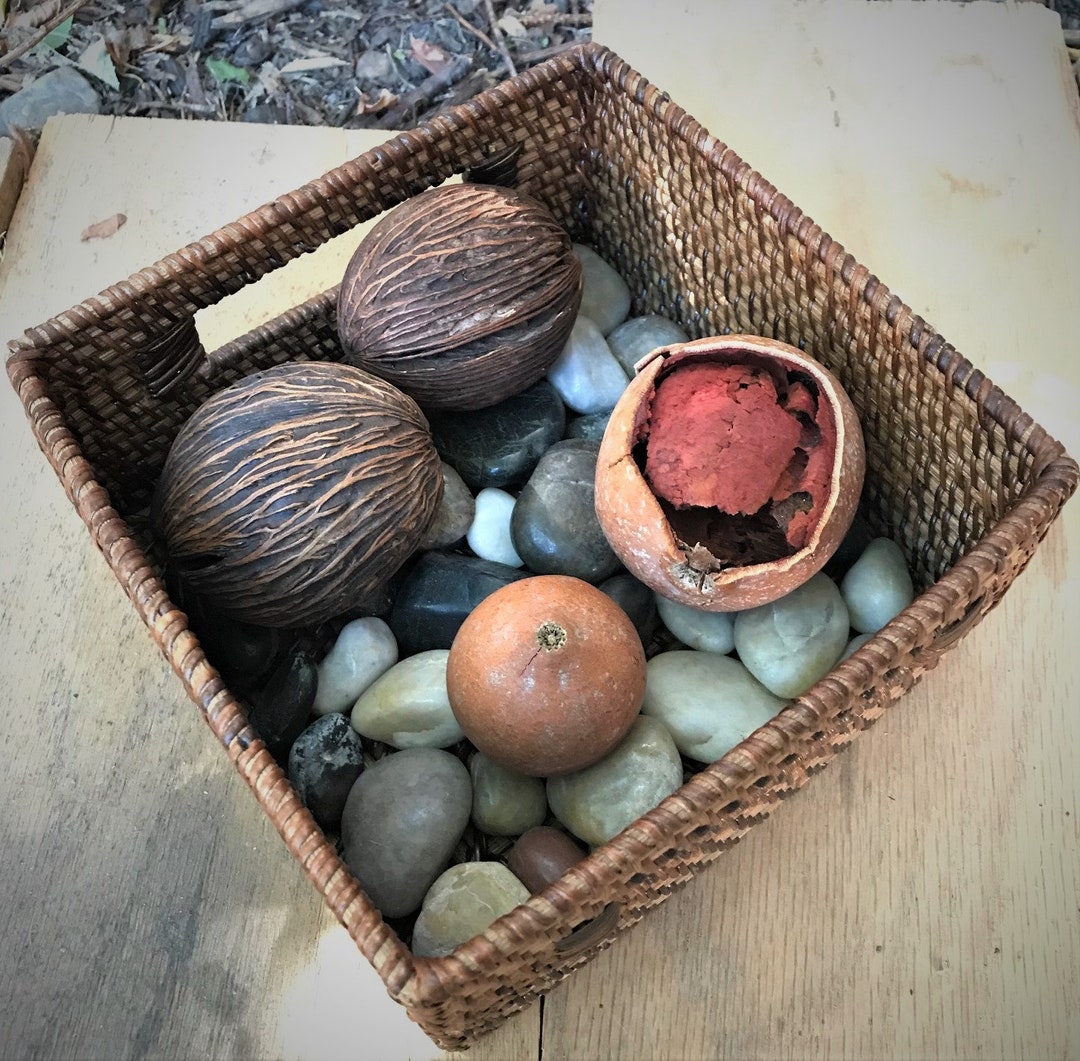 Brown Scented Floral Potpourri With Jar main image 0