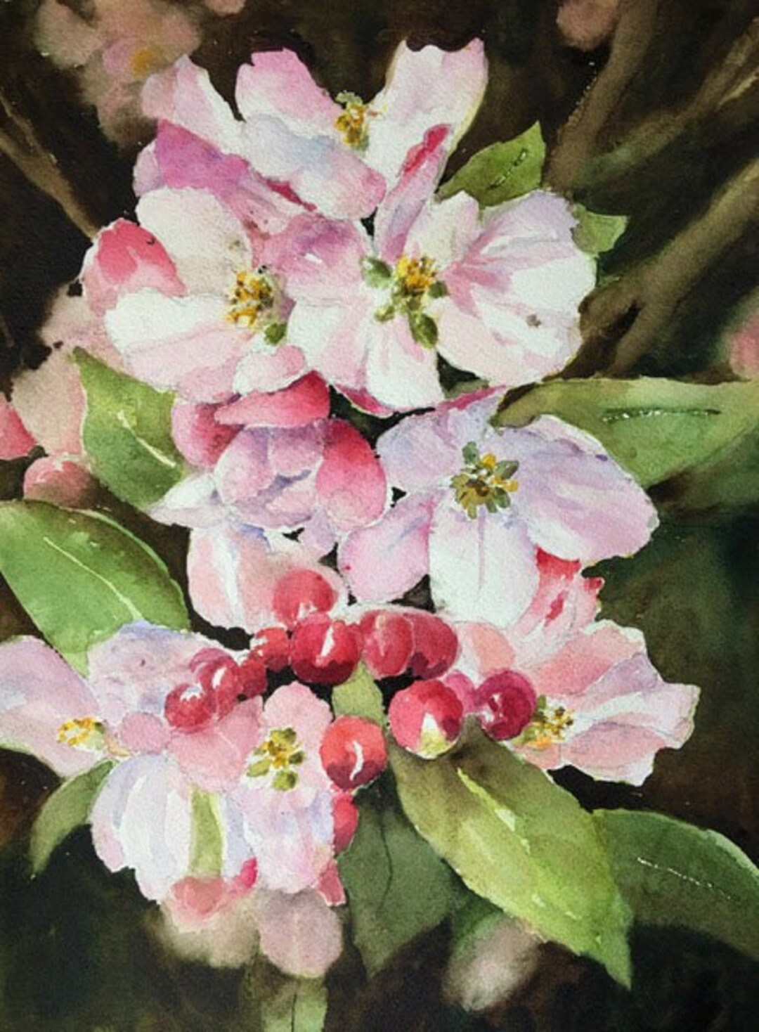 Spring Flowers Apple Blossoms Watercolor Painting Original 9 X 13 - Etsy