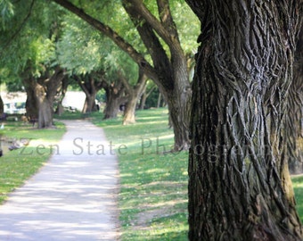 Park Path Photograph. Park Photography Print. Landscape Fine Art Print. Unframed Photo Print, Framed Photography, or Canvas Gallery Print.