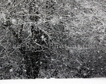 Winter Photo. Nature Print. Snow Photography Print. Winter Landscape Wall Decor. Photo Print, Framed Photo, or Canvas Print. Home Decor.