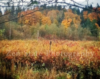 Wetlands On Fire Nature Print. Nature Photography. Autumn Fields Photo Print, Framed Print, or Canvas Print. Home Decor. iPhoneography.