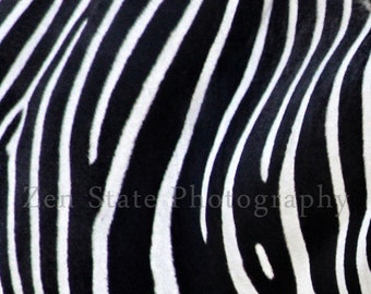 Zebra Print Wall Art. Black and White Wall Decor. Animal Photography.  Framed Photography, Canvas Photo Print, or Unframed Print. Home Decor