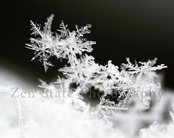 Snowflake Photo. Nature Print. Snowflake Print. Snow Photography Print. Winter Wall Art. Photo Print, Framed Photo, or Canvas Print.