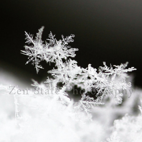 Snowflake Photo. Nature Print. Snowflake Print. Snow Photography Print. Winter Wall Art. Photo Print, Framed Photo, or Canvas Print.