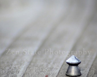 Minimalist Art Print. Abstract Print. Macro Photography Print. Gray Wall Decor. Unframed Photography, Framed Photo Print, Canvas Wall Art.