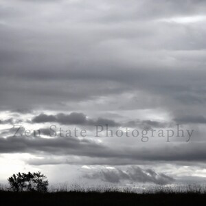 May include: A black and white photograph of a cloudy sky with a silhouette of trees in the foreground. The text "Zen State Photography" is visible in the centre of the image.