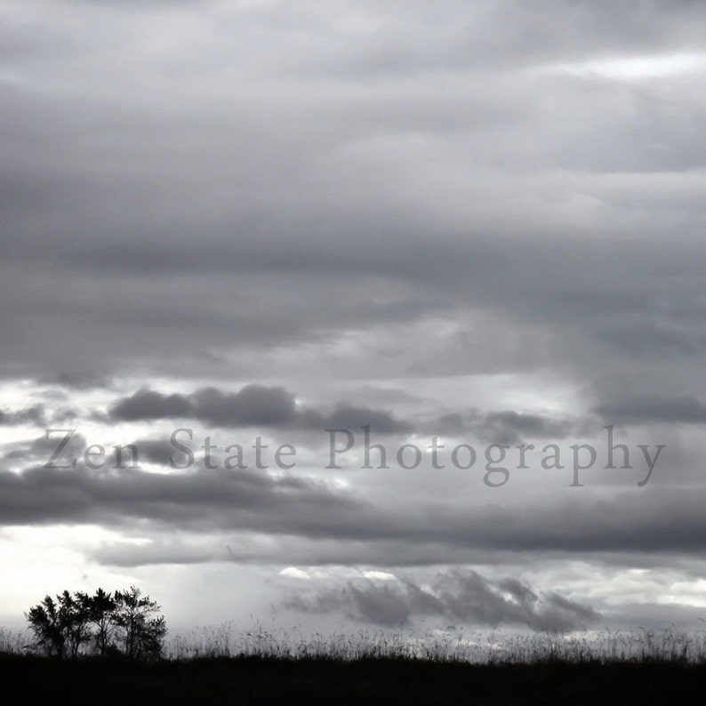 May include: A black and white photograph of a cloudy sky with a silhouette of trees in the foreground. The text "Zen State Photography" is visible in the centre of the image.