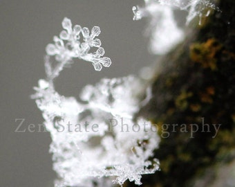 Real Snowflake Print. Nature Print. Macro Photography. Snow Photography Print Winter Wall Decor. Photo Print, Framed Photo, or Canvas Print.