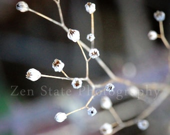Nature Wall Decor. Winter Photography Print. Macro Photography Wall Decor. Photo Print, Framed Photography, or Canvas Print. Home Decor.