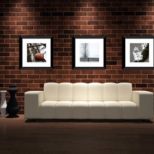 May include: Three framed black and white photographs hanging on a brick wall above a white couch. The photos depict a tree branch with a single red apple, a tree in a snowy landscape, and a white flower cluster.