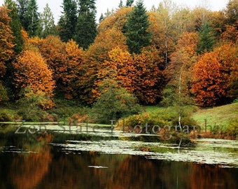 Pond in Autumn Nature Print. Landscape Photography Print. Lake Photo in Orange and Green. Fine Art Print, Framed Print, or Canvas Print.