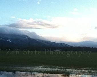 Wetlands Photo Print. Landscape Photography Print. Square Format Photo Print, Framed Print, or Canvas Print. Home Decor. Mobile Photography.