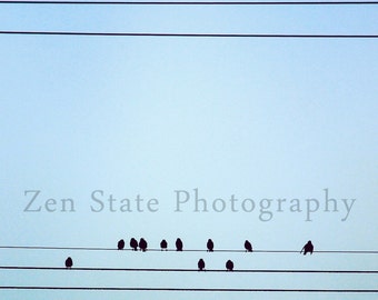 Bird on a Wire Photography Print. Wildlife Photography. Bird Photo Print. Nature Wall Art. Unframed Print, Framed Print, Canvas Art Print.