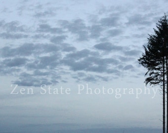 Dusk Clouds Photograph. Tree Photo Print. Nature Photography Print. Landscape Photo Print, Framed Photography, or Canvas Print. Home Decor.