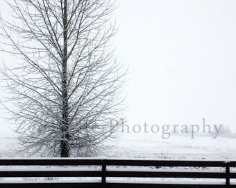 Winter Landscape Photo. Snowy Landscape Print. Nature Photography Print. Photo Print, Framed Photography, or Canvas Print. Home Decor.