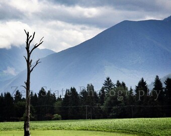 Mountain Landscape Photo Print. Lone Tree Photography Print. Landscape Print. Photo Print, Framed Print, or Canvas Print. Home Decor.