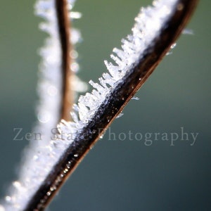 Hoar Frost Photograph. Nature Photography Print. Macro Photography. Frost Photo Print, Framed Photography, or Canvas Print. Home Decor. image 1