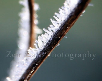 Hoar Frost Photograph. Nature Photography Print. Macro Photography. Frost Photo Print, Framed Photography, or Canvas Print. Home Decor.