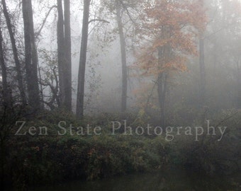 Foggy Forest Photograph. Nature Photography Print. Creek Photo Wall Art. Forest Landscape Photo Print, Framed Photo, or Canvas Print.
