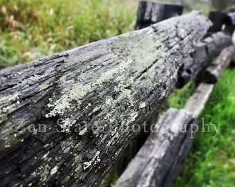 Fence Photography. Green and Gray Art Print Wall Decor. Nature Print. Unframed Photo Print, Framed Photography, Canvas Print. Home Decor.