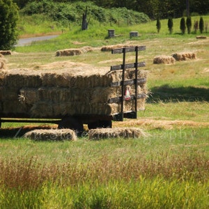 Farm Life Print. Summer Harvest Landscape Print. Rural America Photography Print. Photo Print, Framed Print, or Canvas Print. Home Decor. image 1