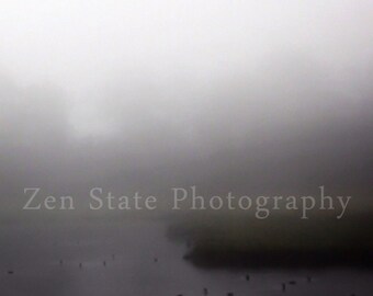 Fog Photography Print. Nature Print. Forest Photo Print. Landscape Print. Wetlands Photo. Framed Photography or Canvas Print. Home Decor.