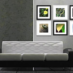 Op de afbeelding: Een moderne woonkamersc&egrave;ne met een zwart-witte bank en een galerijmuur. De galerijmuur toont zes ingelijste natuurfoto's met zwarte en witte lijsten. De afbeeldingen tonen close-ups van bloemen en bladeren.