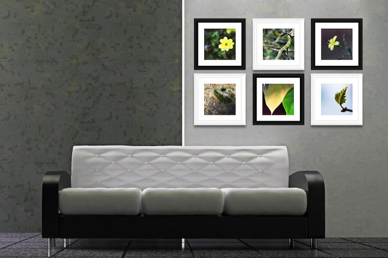 Op de afbeelding: Een moderne woonkamersc&egrave;ne met een zwart-witte bank en een galerijmuur. De galerijmuur toont zes ingelijste natuurfoto's met zwarte en witte lijsten. De afbeeldingen tonen close-ups van bloemen en bladeren.