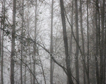 Fog Photo Foggy Forest Fine Art Print Woodland Decor Gray Nature Photo Wall Decor Grey Wall Art Unframed Print, Framed Photo, Canvas Print