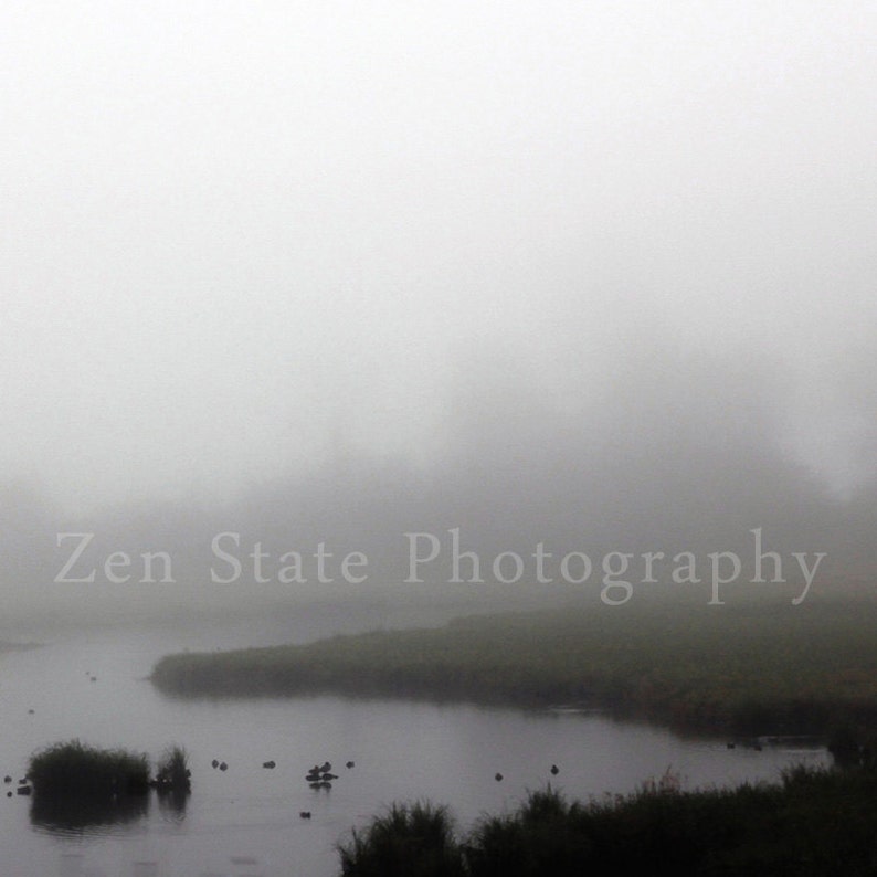 Foggy Wetlands Nature Print. Fog Photography Print. Landscape Print. Wetlands Photo. Unframed Photograph, Framed Photography, Canvas Print. image 1