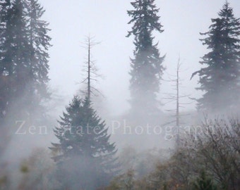 Fog in the Forest Photography. Nature Photography Print. Forest Landscape Photo Print, Framed Photography, or Canvas Print. Home Decor.