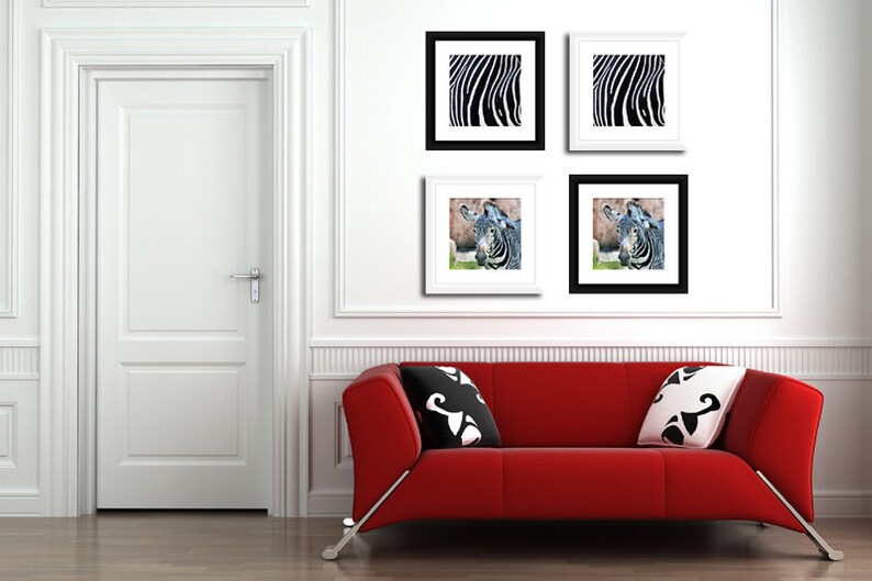 Zebra Print Wall Art. Black and White Wall Decor. Animal Etsy