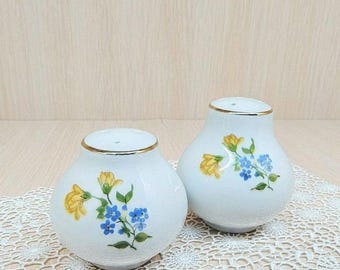Set of two soviet salt and pepper shaker, shaker for spices , vintage home decor, porcelain set, kitchen utensil, table decor