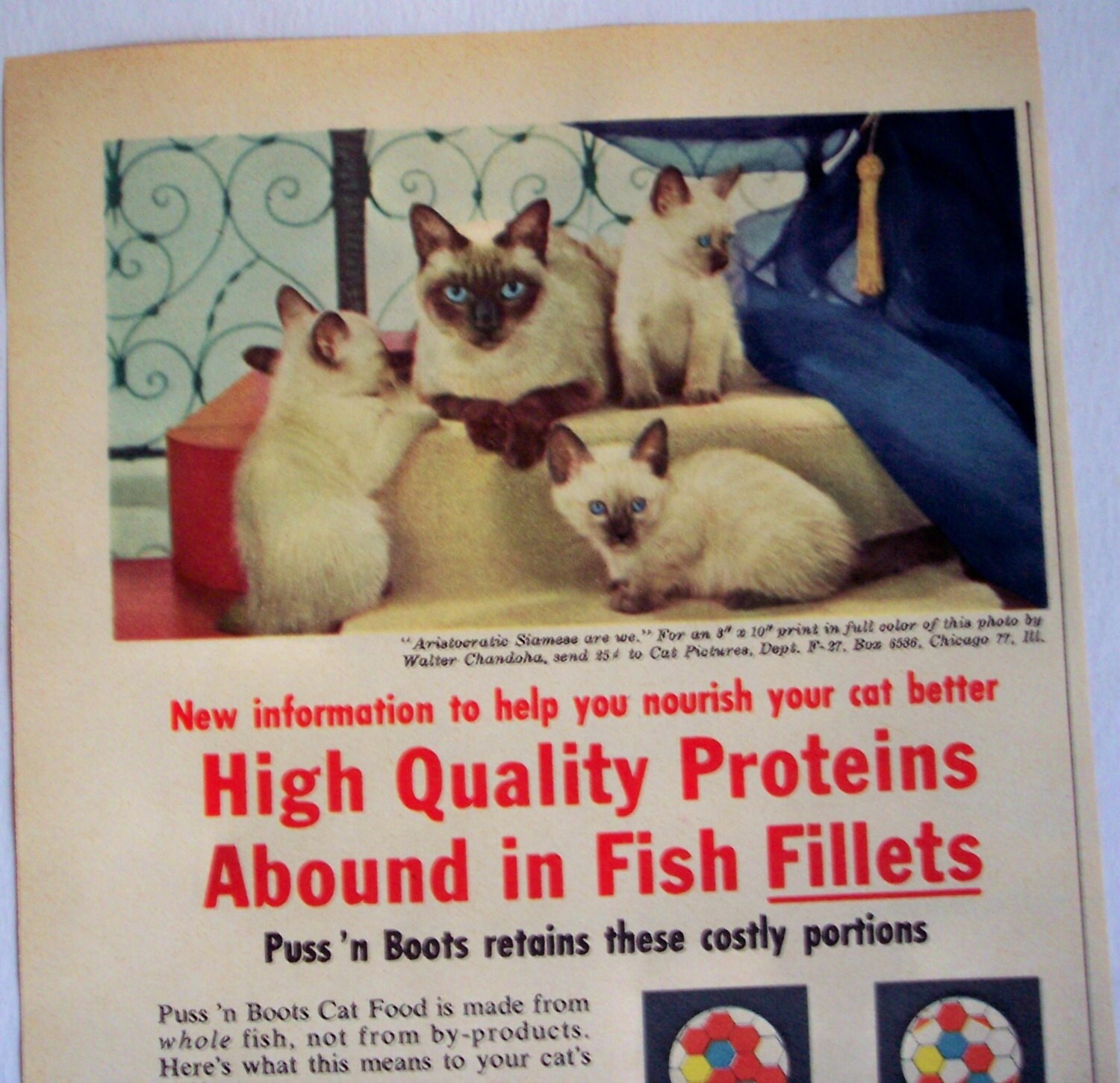 1957 Cat Food AD mama cat with kittens Puss 'n Boots cat Etsy