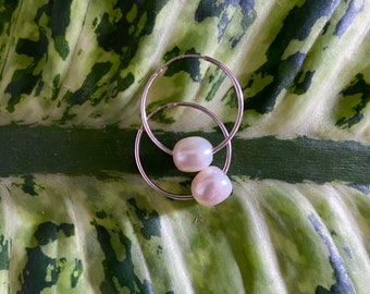 Creole hoop with Akoya white pearls on sterling silver, very feminine earrings