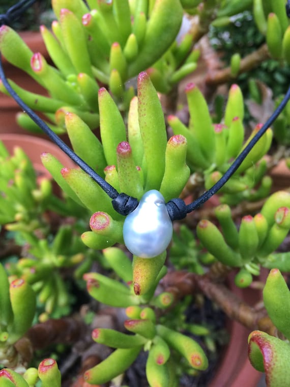 Tahitian pearl necklace on leather - woman or man necklace very light grey tahitian pearl
