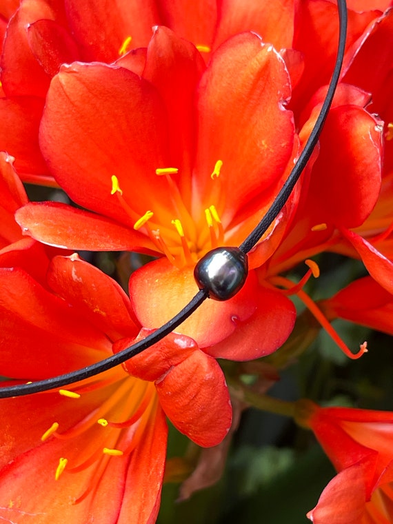 RESERVE Tahitian pearl, unisex choker, hand rolled leather, adjustable size, black pearl necklace, leather pearl necklace