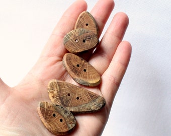 5 Beautiful, Canadian Oak Wood Buttons, Hardwood Buttons, Medium Hardwood Buttons, Tree Branch Buttons 5pce 1" -2" in size