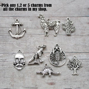 U-PICK Any 1, 2, 3, 4 or 5  Individual Charms in my store from all listings,Mix and Match....This way you get to choose the charms you want!