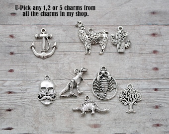 U-PICK Any 1, 2, 3, 4 or 5  Individual Charms in my store from all listings,Mix and Match....This way you get to choose the charms you want!