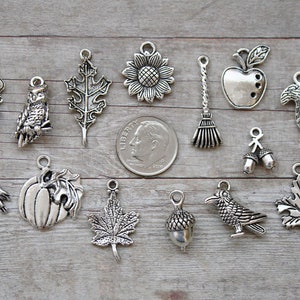 14pc or 5pc Fall Season Charm Set Lot Collection /Jewelry, Scrapbooking, Crafts/Choose Charms, Split Rings, Lobster Clasps or European Bails
