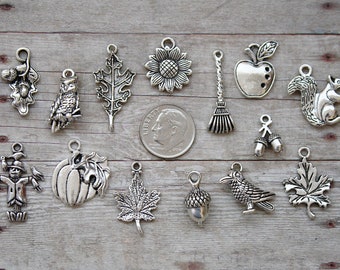 14pc or 5pc Fall Season Charm Set Lot Collection /Jewelry, Scrapbooking, Crafts/Choose Charms, Split Rings, Lobster Clasps or European Bails