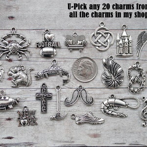 U-PICK Any 20 Individual Charms in my store from all listings, Mix and Match .....This way you get to choose the charms you want! :)