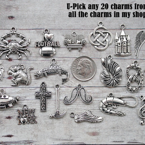 U-PICK Any 20 Individual Charms in my store from all listings, Mix and Match .....This way you get to choose the charms you want! :)