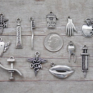 May include: A collection of 14 silver-toned charms with dental themes, including a toothbrush, toothpaste, floss, a tooth, a syringe, and an apple. The charms are arranged on a wooden surface.