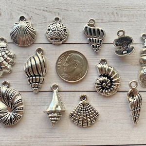 May include: A collection of 12 silver-toned metal charms shaped like seashells and a sand dollar. The charms are perfect for jewelry making, scrapbooking, and other craft projects.