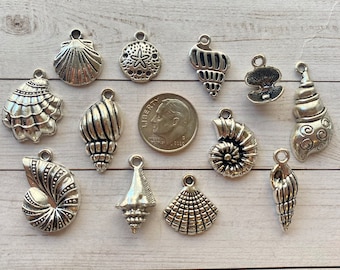 May include: A collection of 12 silver-toned metal charms shaped like seashells and a sand dollar. The charms are perfect for jewelry making, scrapbooking, and other craft projects.