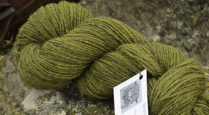 /'Fernwood/' 100/% Lincoln X wool Hand dyed Yarn DK weight 2 ply