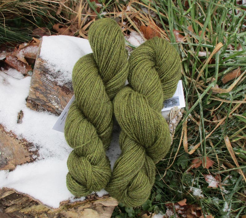 /'Fernwood/' 100/% Lincoln X wool Hand dyed Yarn DK weight 2 ply